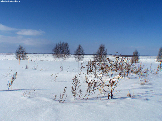 29338 (a): :1024x768
